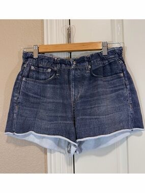 Rag & Bone Miramar Cotton Terry Walking Shorts Womens Large